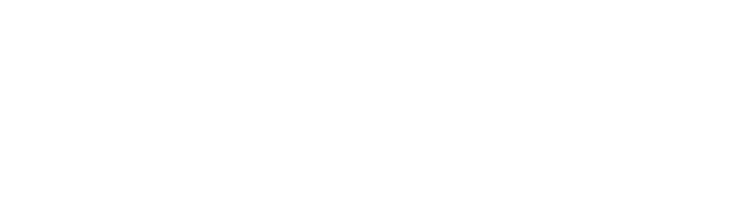 bridge-logo-white